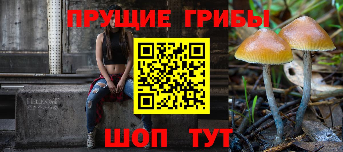 Галлюциногенные грибы прущие грибы Калининград