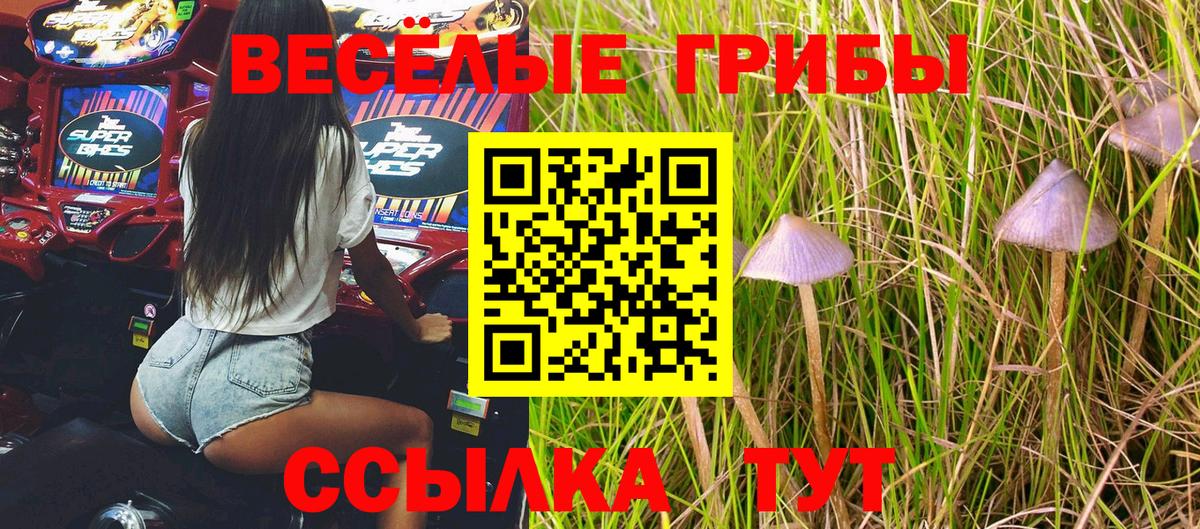 Галлюциногенные грибы Cubensis  Вход с VPN  Калининград  Галлюциногенные грибы прущие грибы 