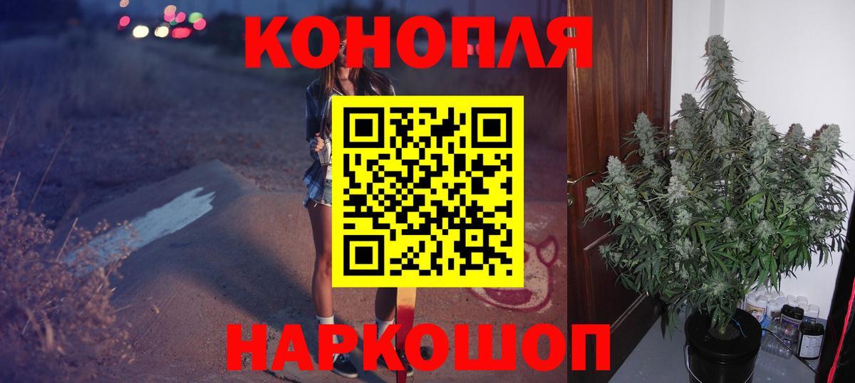 Конопля конопля Калининград